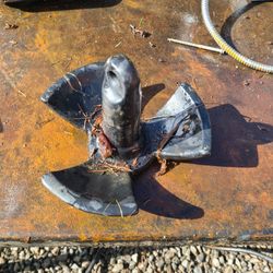 Drift Boat Coated Anchor 