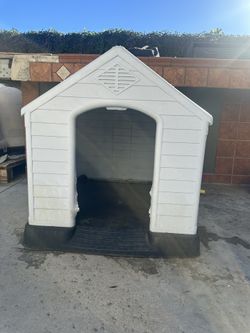 Dog House