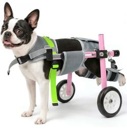 Lightweight Dog Wheelchair for Back Legs size S,Adjustable Mobility Cart Lightweight Dog Cart with Wheels,Blue or Pink ,Thick Harness Support Helps We