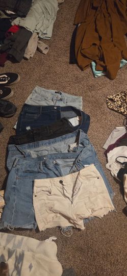 Women's  Clothing Over 100 Items