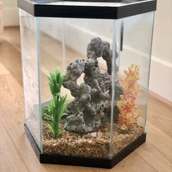 Beautiful Hexagonal Fish Tank