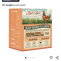 Black Soldier Fly Larva 