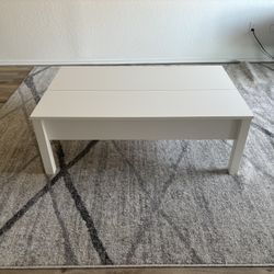 Storage Coffee Table 