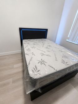 BLACK & GOLD BED - LED Lights ✅