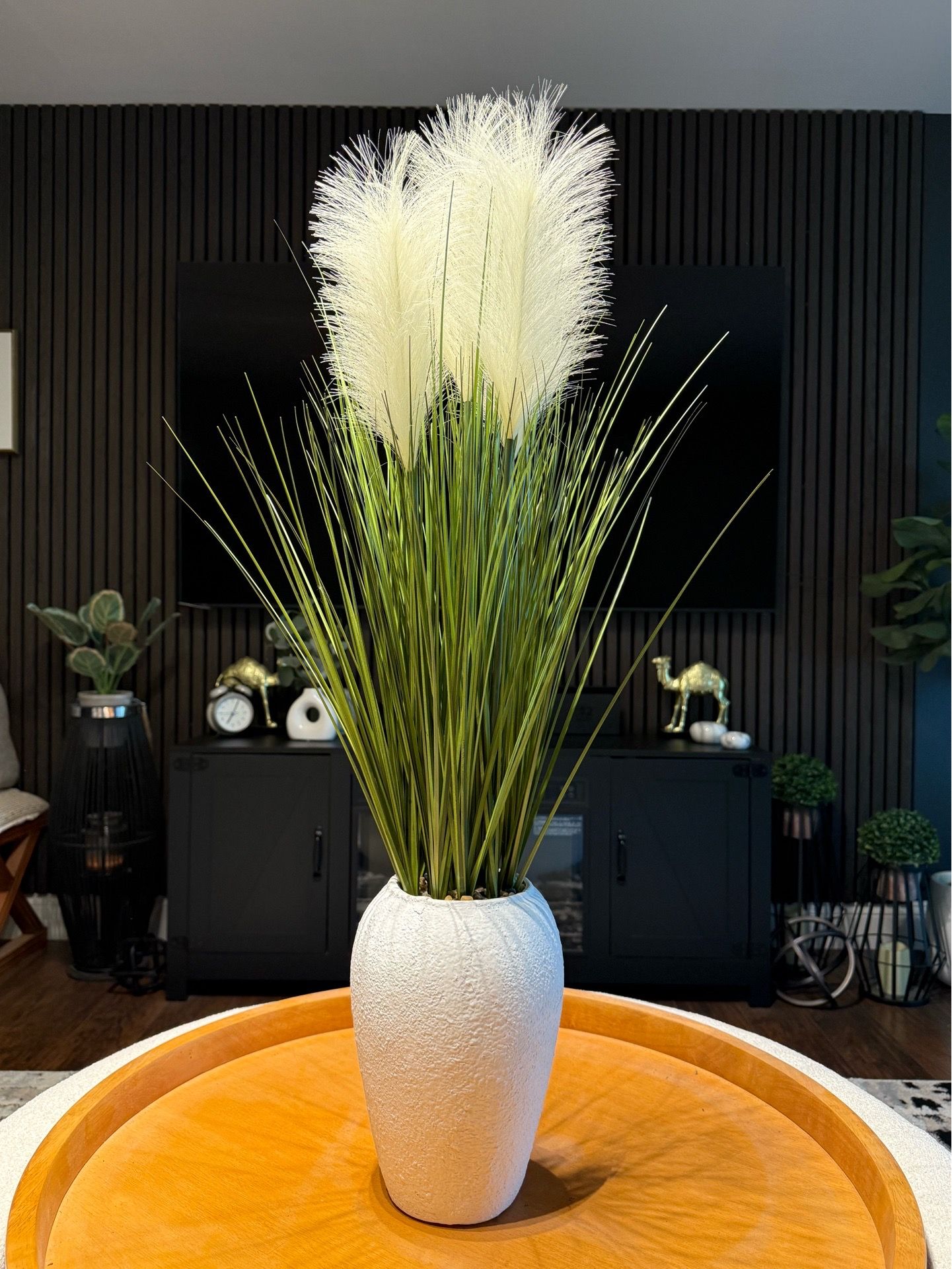 Plant 37”