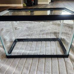 2.5 Gallon Aquarium 