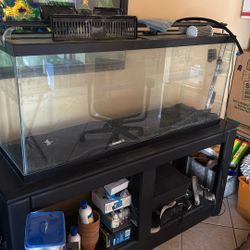 Fish Tank 
