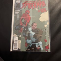 The Spectacular Spider-Man 