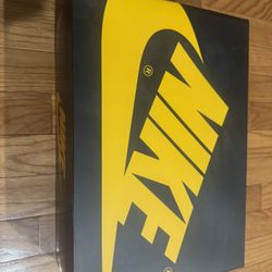 Jordan 1 Pollen Size 10.5 Brand New Ds Nike 