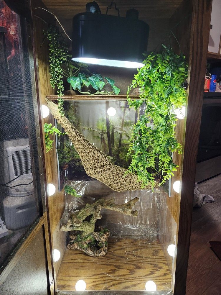 Wooden Reptile Cage for Sale in Federal Way, WA OfferUp