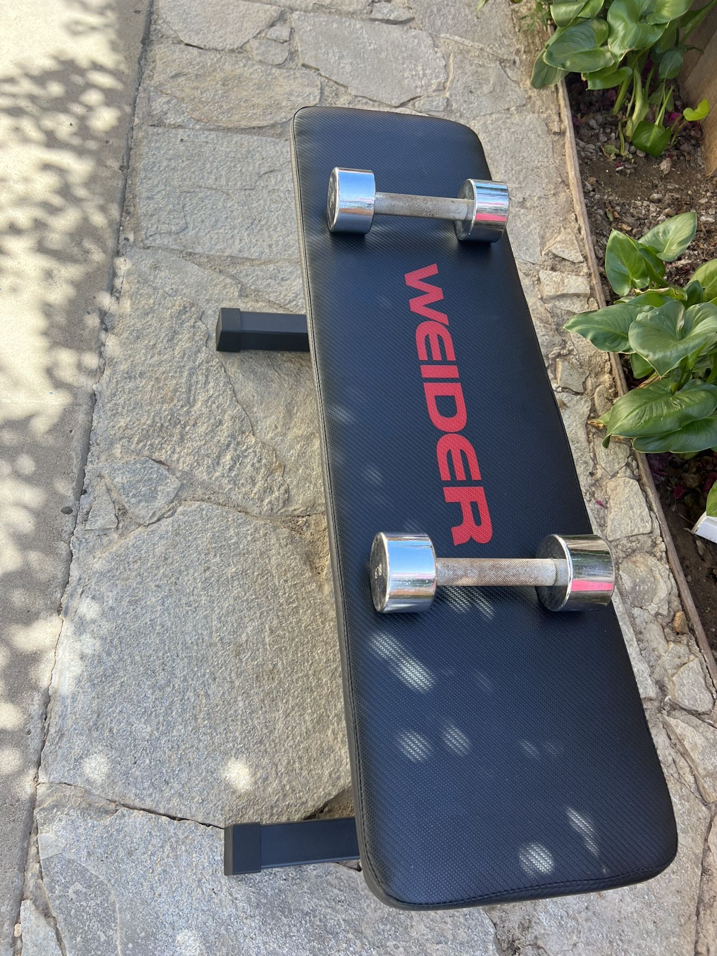 Flat Weight Bench and 8lb Dumbbells