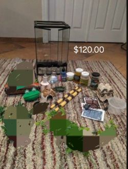 Reptile Tank