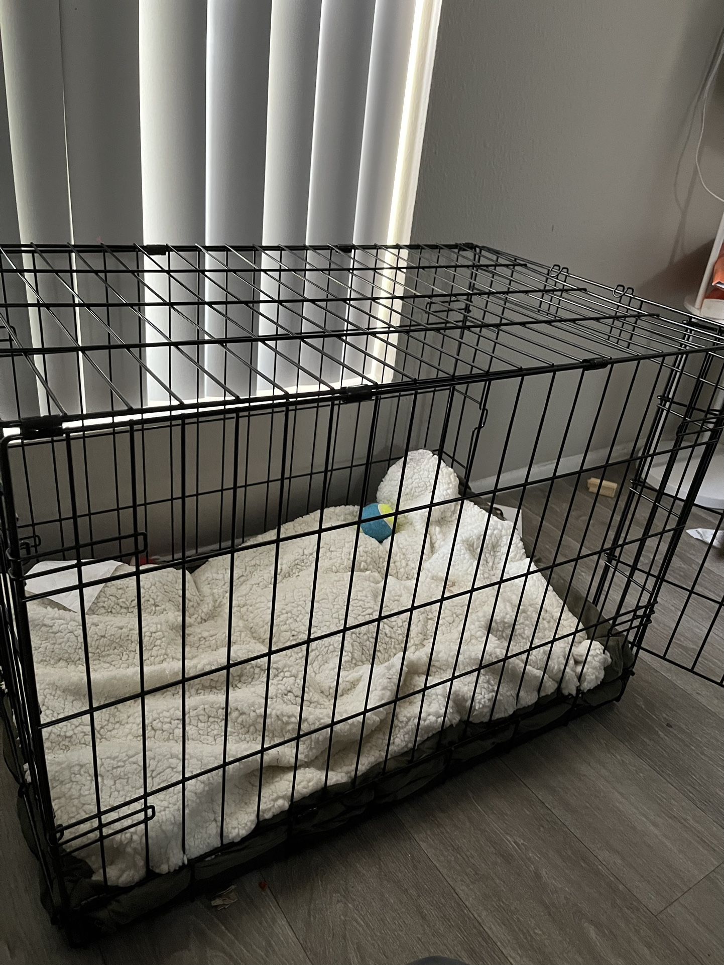 Crate/leashes/new Dog Bed