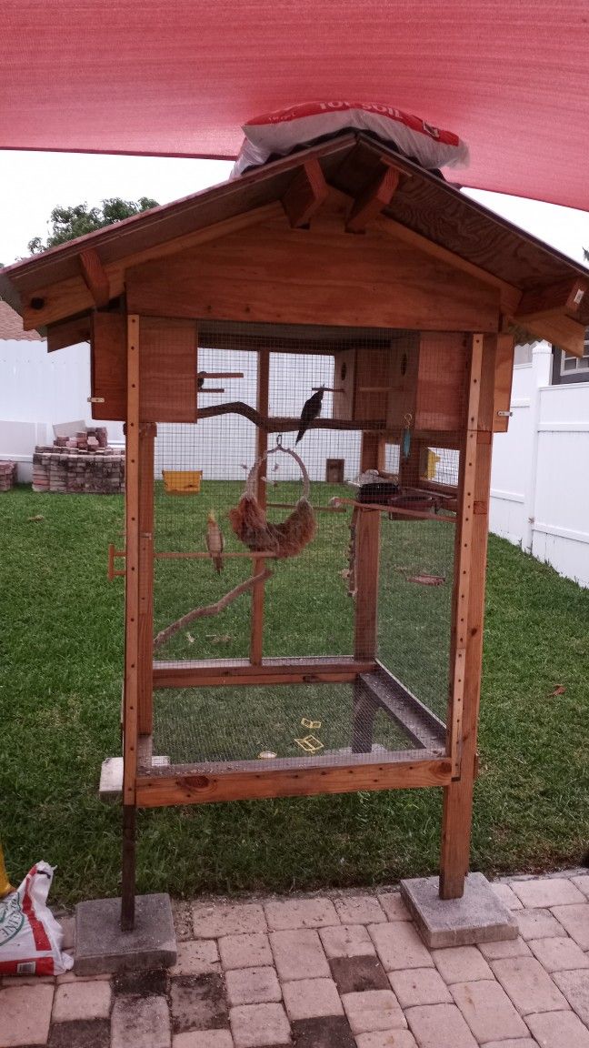Cacatillos, Cockatiel For Sale