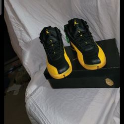 Jordan 12s University Gold New Size 12 $150obo