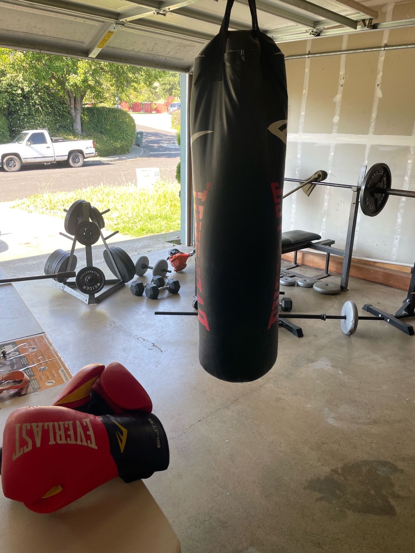 Punching bag and gloves (pair)