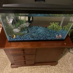 20 Gallon Fish Tank 