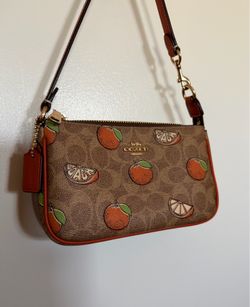 Coach Nolita 19 Signature Canvas Purse