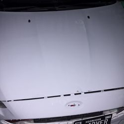 Ford Focus SE Hood 