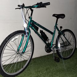Iridescent Green bike 4 sale 