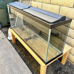 55 Gallon Fish Tank W/ Stand and All Accessories