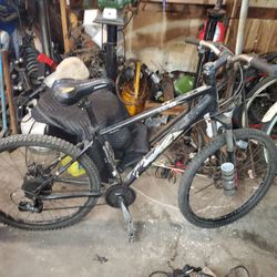 Huffy beach cruiser