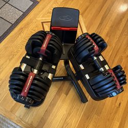 Bow Flex SelectTech Adjustable Dumbbells 522 With Media Stand