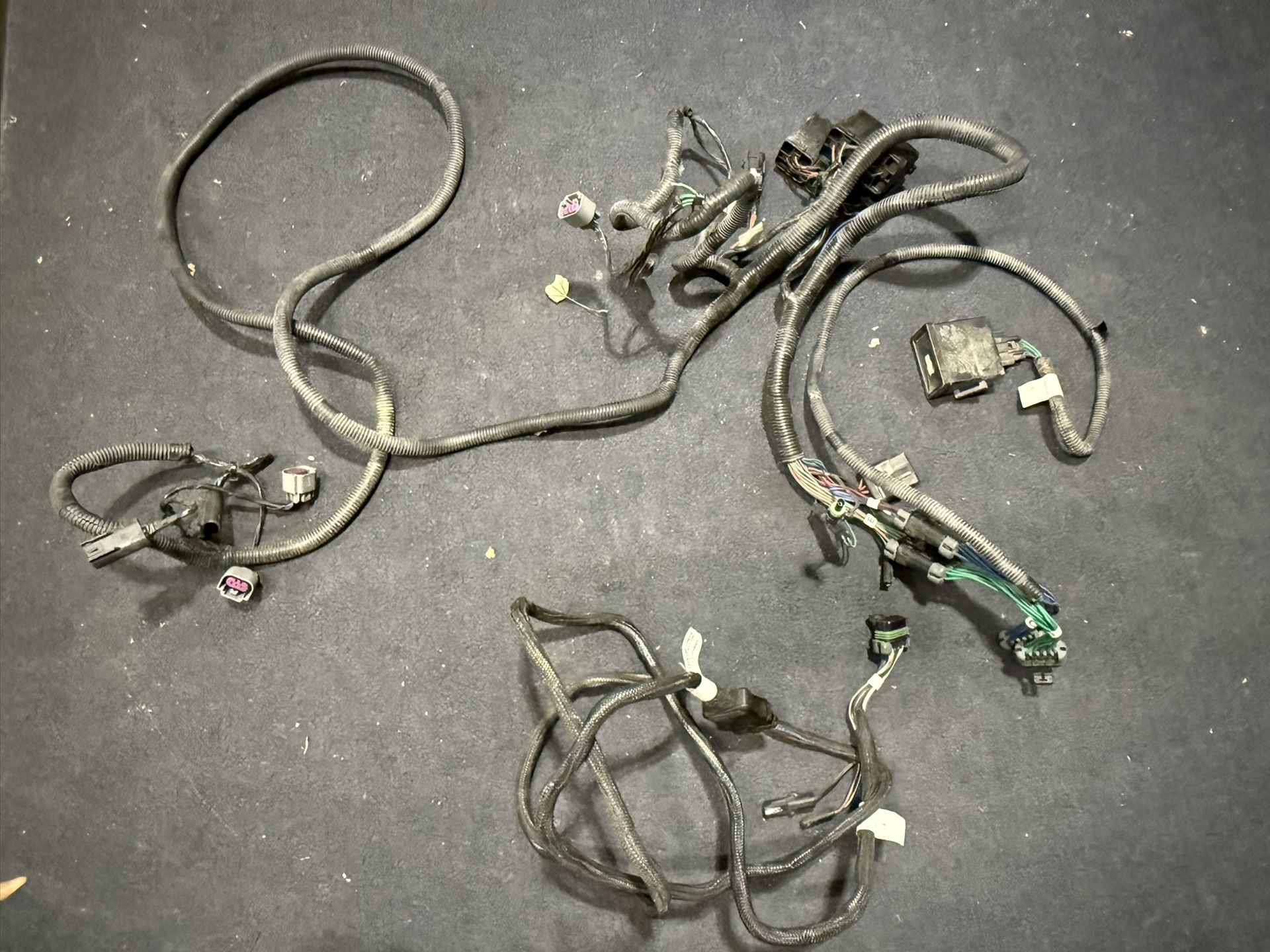 Western Plow Headlight Harness 17 F250