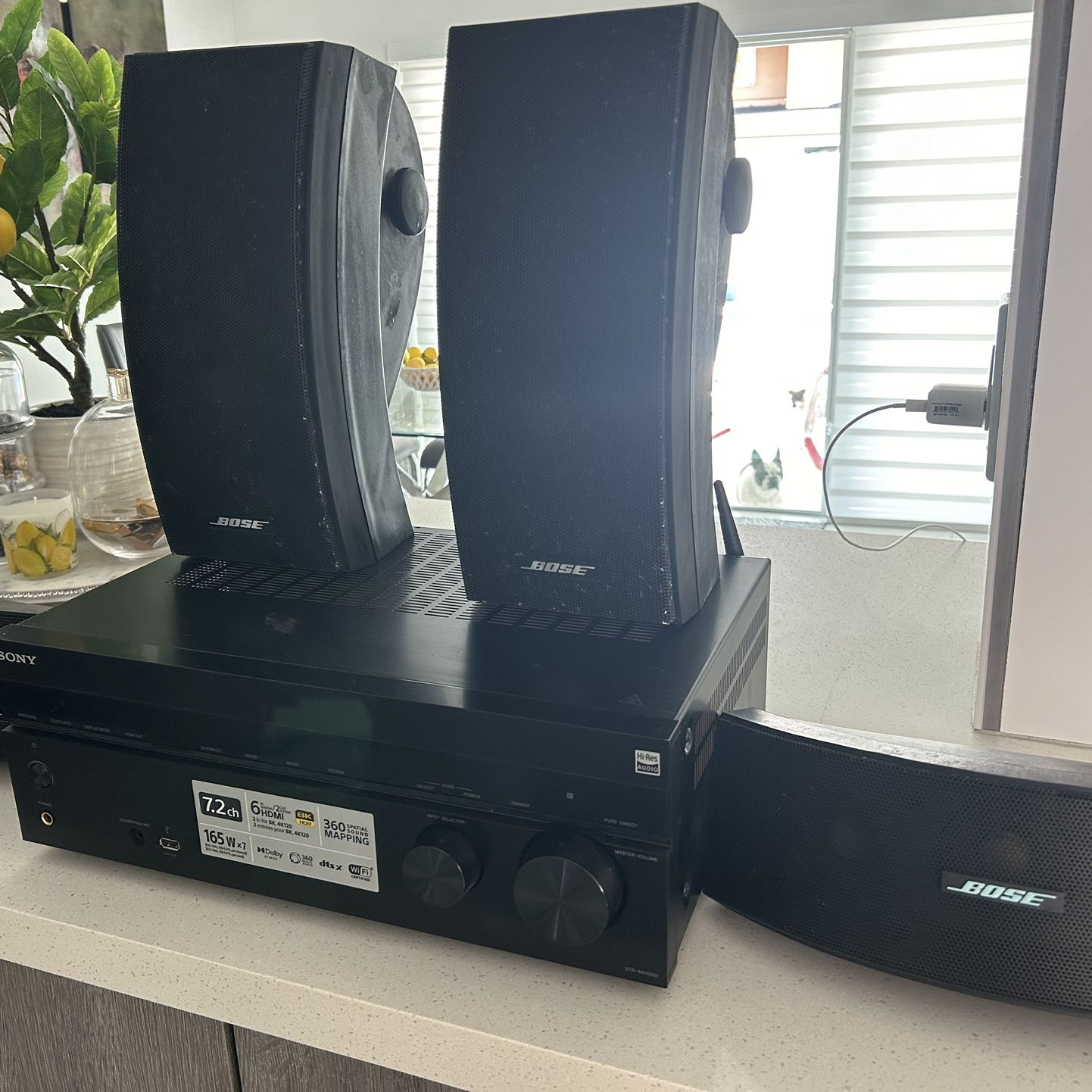 Equipo De Sonido Exterior Bose