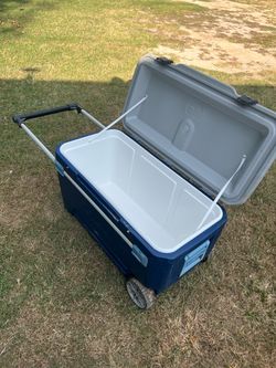 Igloo Cooler