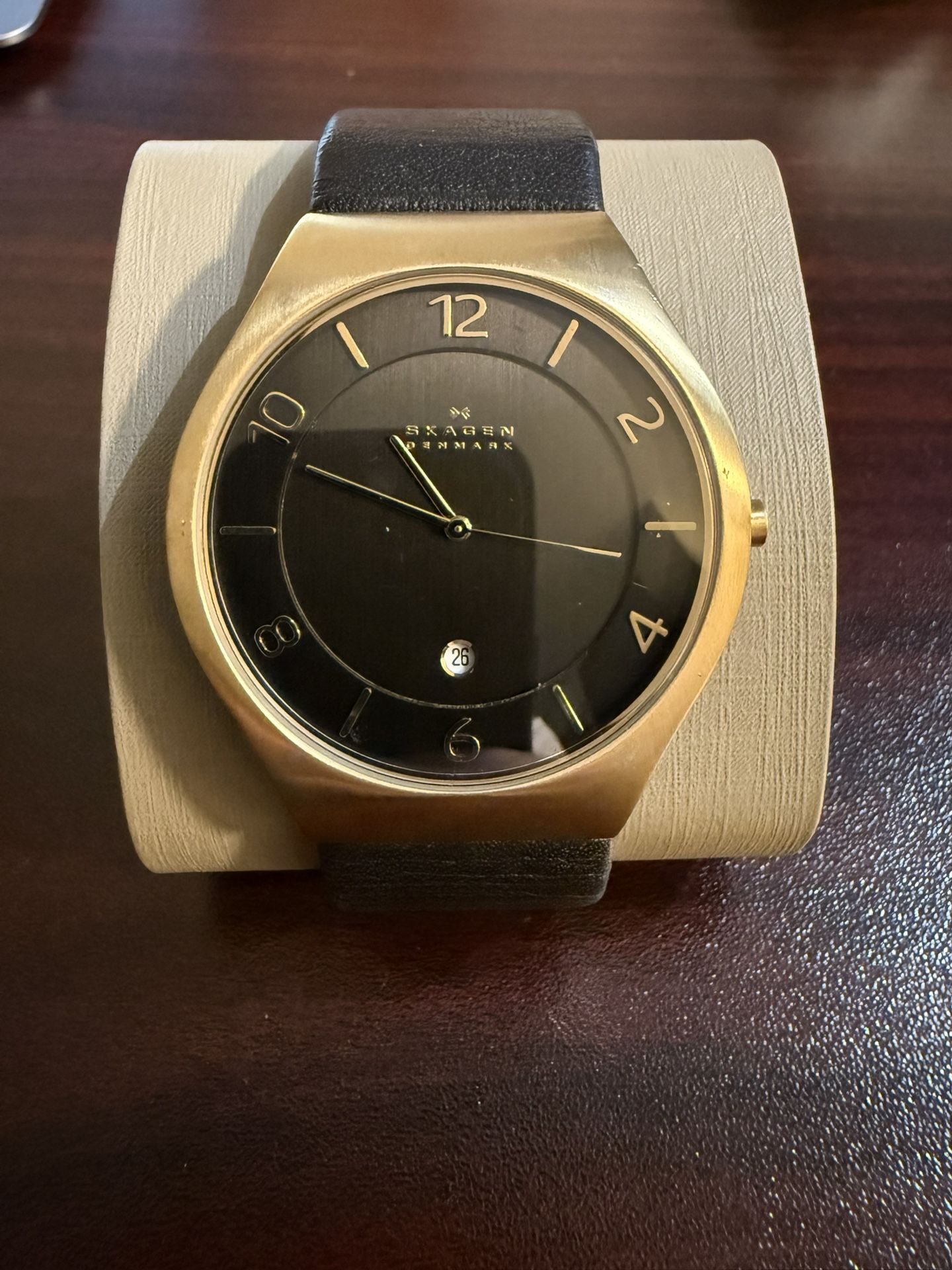 Skagen Watch
