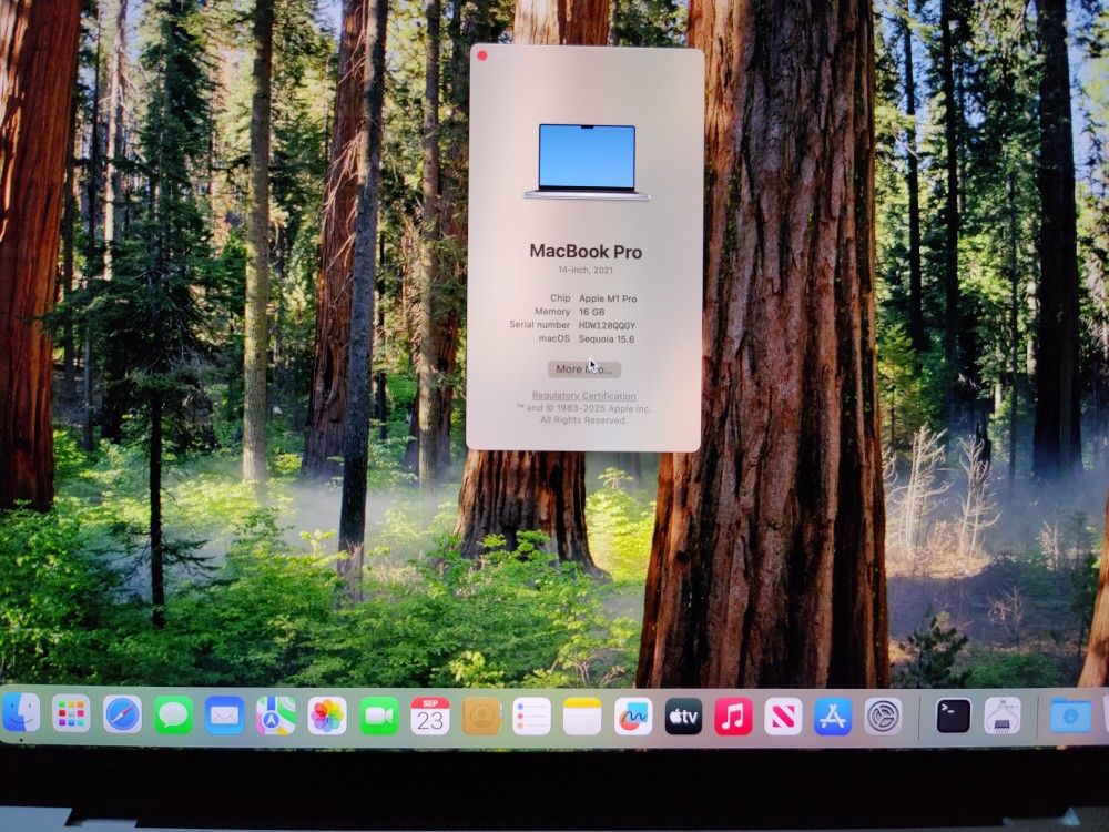 Apple MacBook Pro M1 Pro 14 Inch