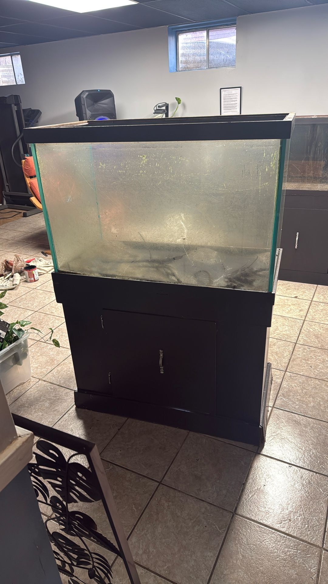 60 Gallon Tank