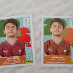 Panini World Cup Sticker Error - Joao Neves