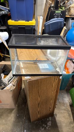 5 Gallon Fish Tank