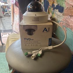 Geovision H.265 Deep Learning Ir Vander Proof Ip Dome