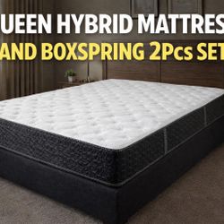 💚QUEEN HYBRID SET $249