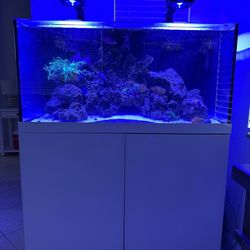 150 gallon Prostar AQUARIUM FISH TANK