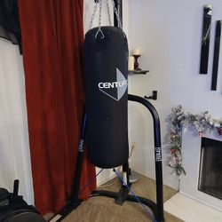 Punching Bag With Everlast Stand And 2 Pairs Of Boxing Gloves