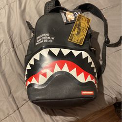 Spray ground Backpack