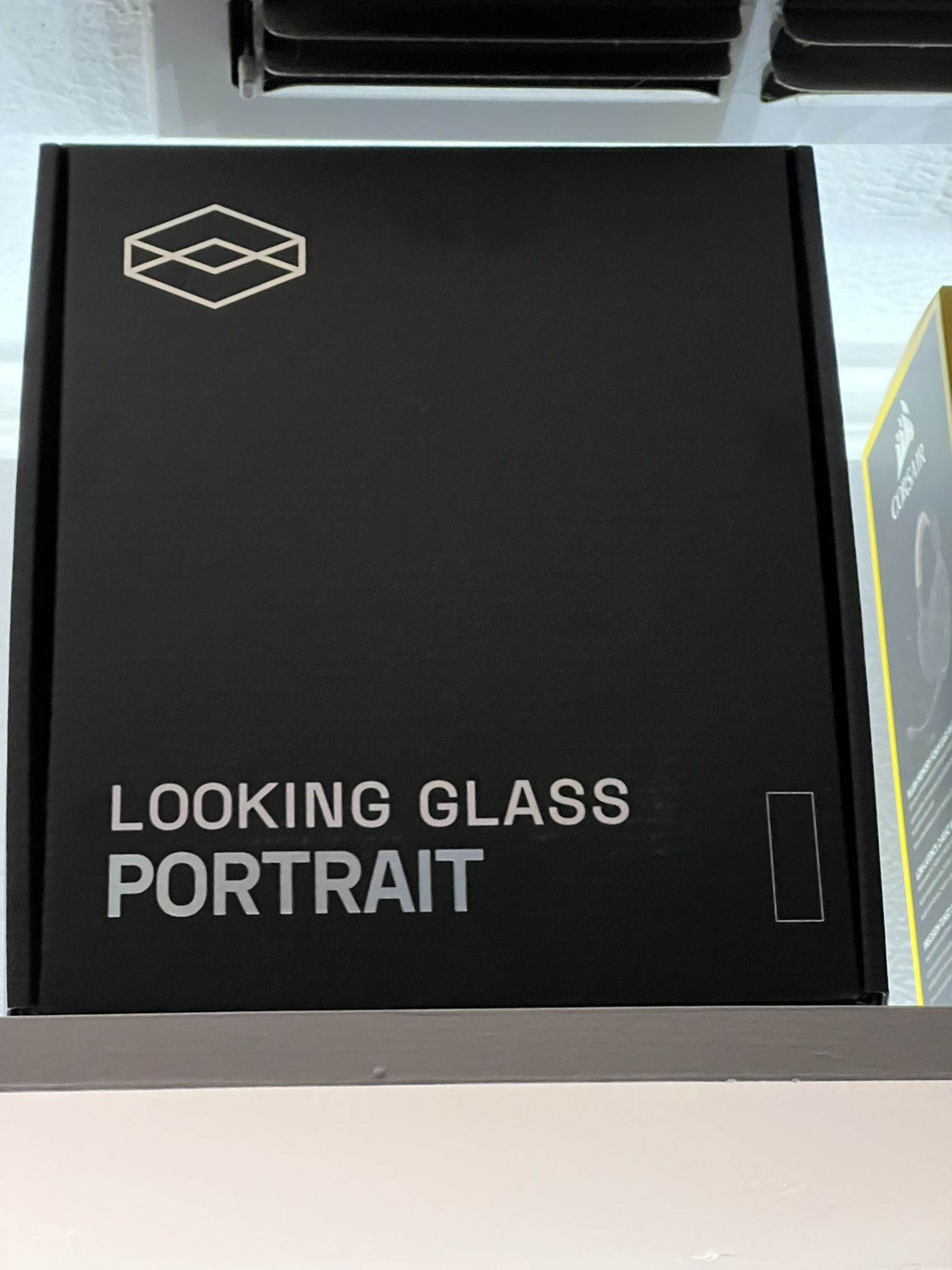 LookingGlass Portrait