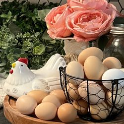 Fresh Chicken And Duck Eggs