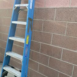 Werner Ladder 🪜 6 Ft 