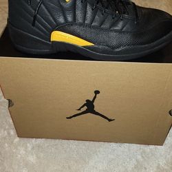 Jordan 12