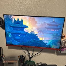 Dual Monitor Setup