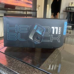 Hero 11 Black GoPro (new)