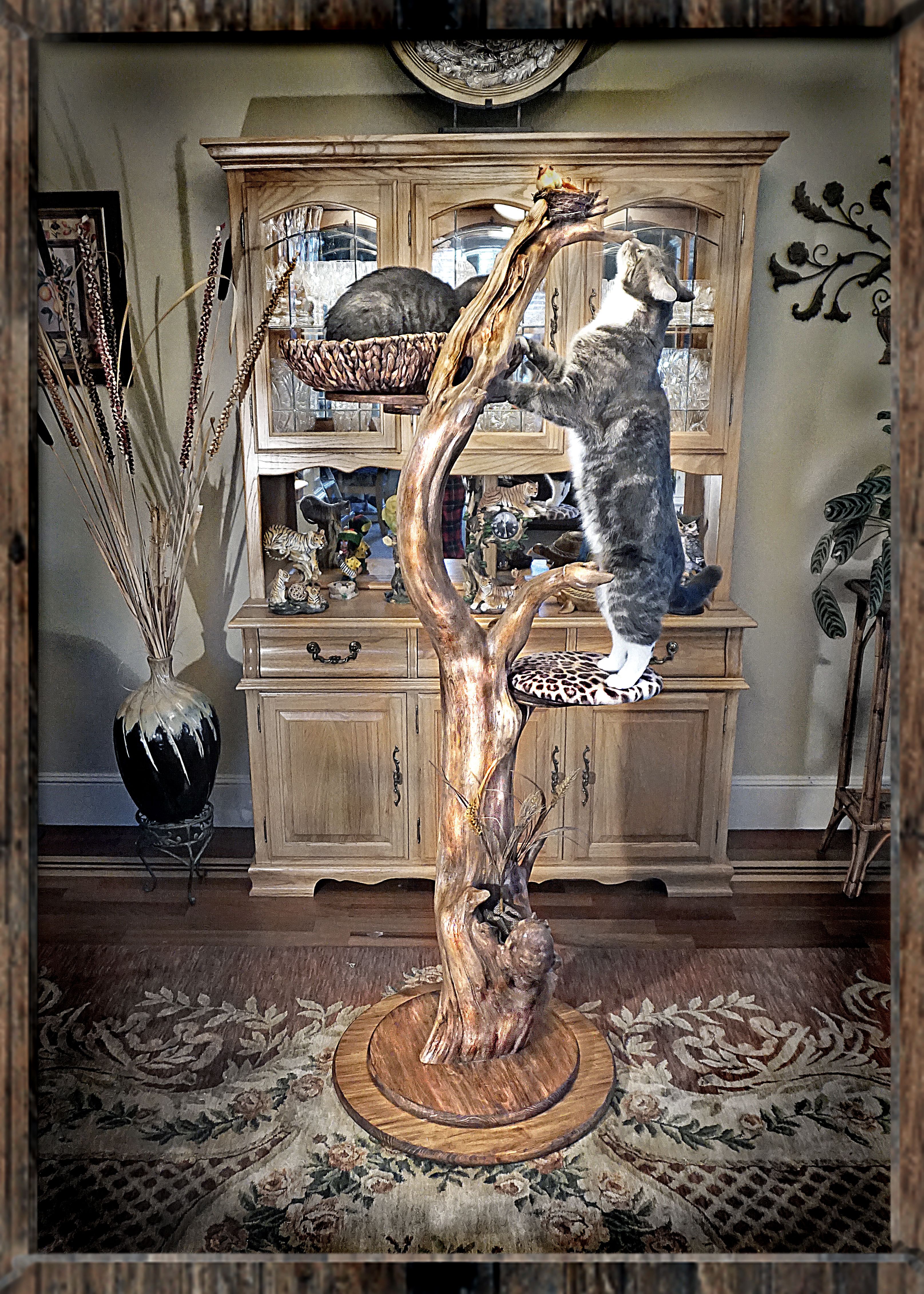 Natural Cat tree