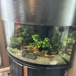 90 Gallon Corner Tank With Sump