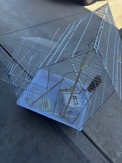 Bird  cage