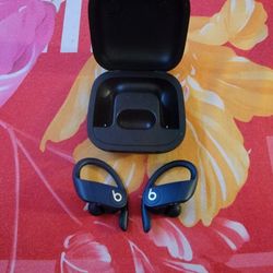 The Power Beat Wireless 